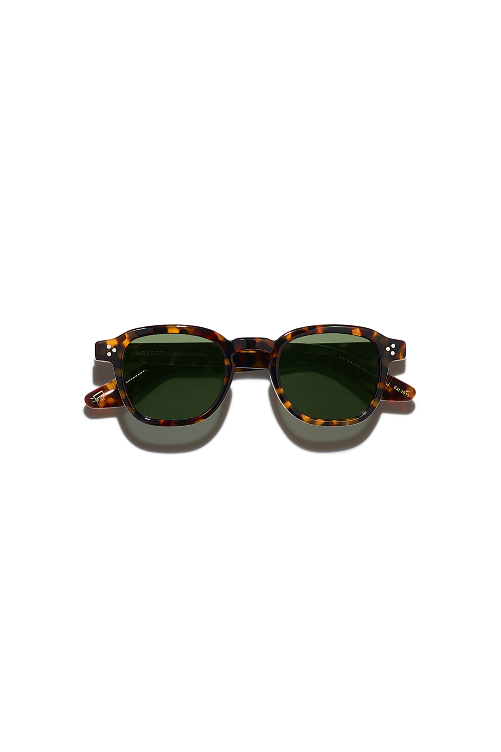 Momza Sun | Tortise