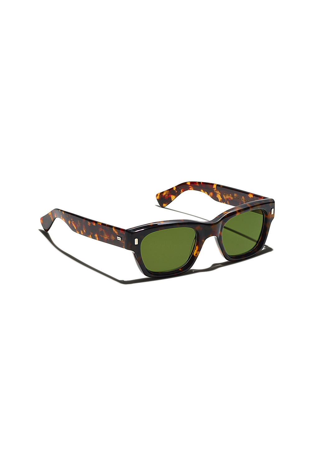 Zogan Sun | Tortise