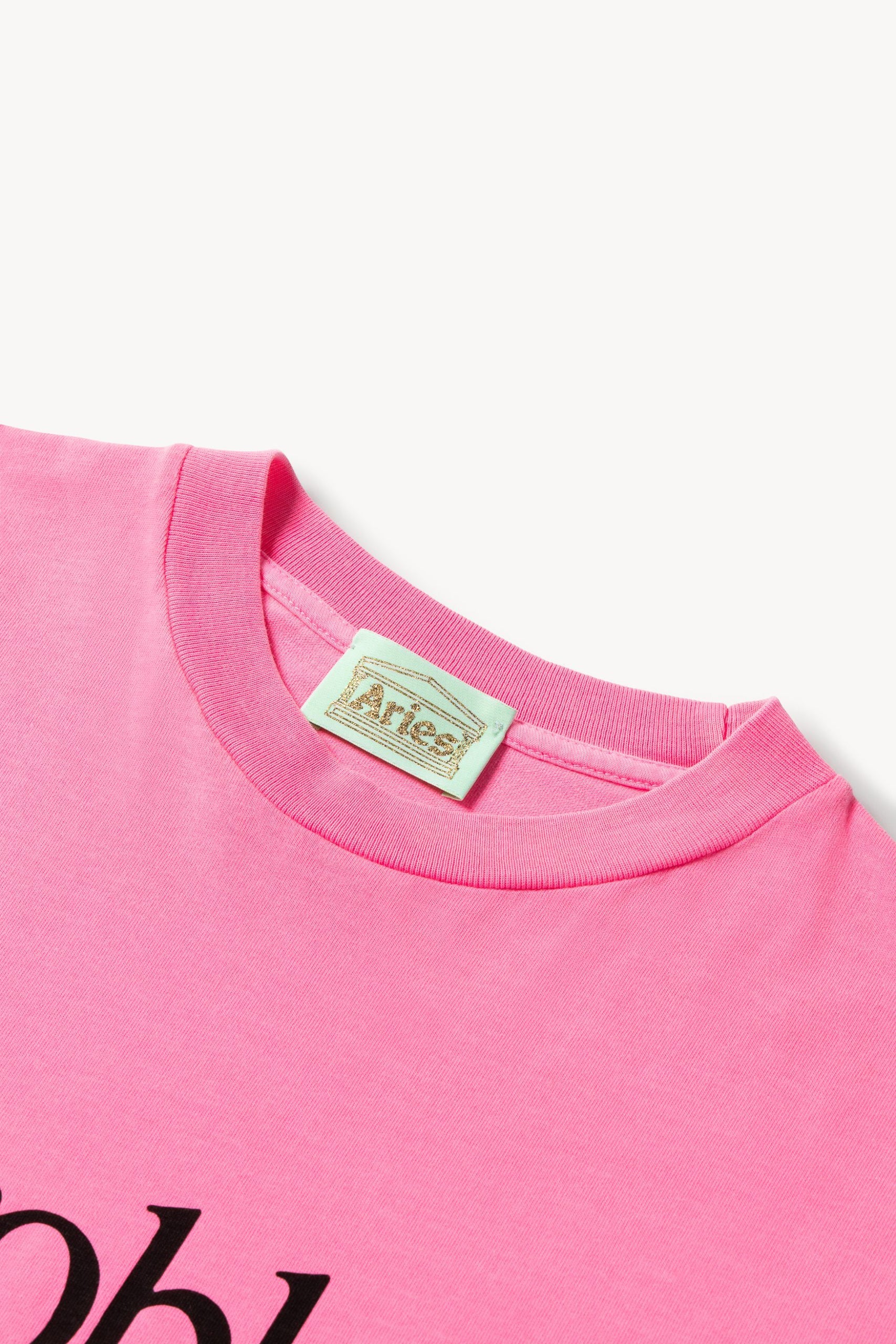 NO PROBLEMO FLUORO DYE SS TEE