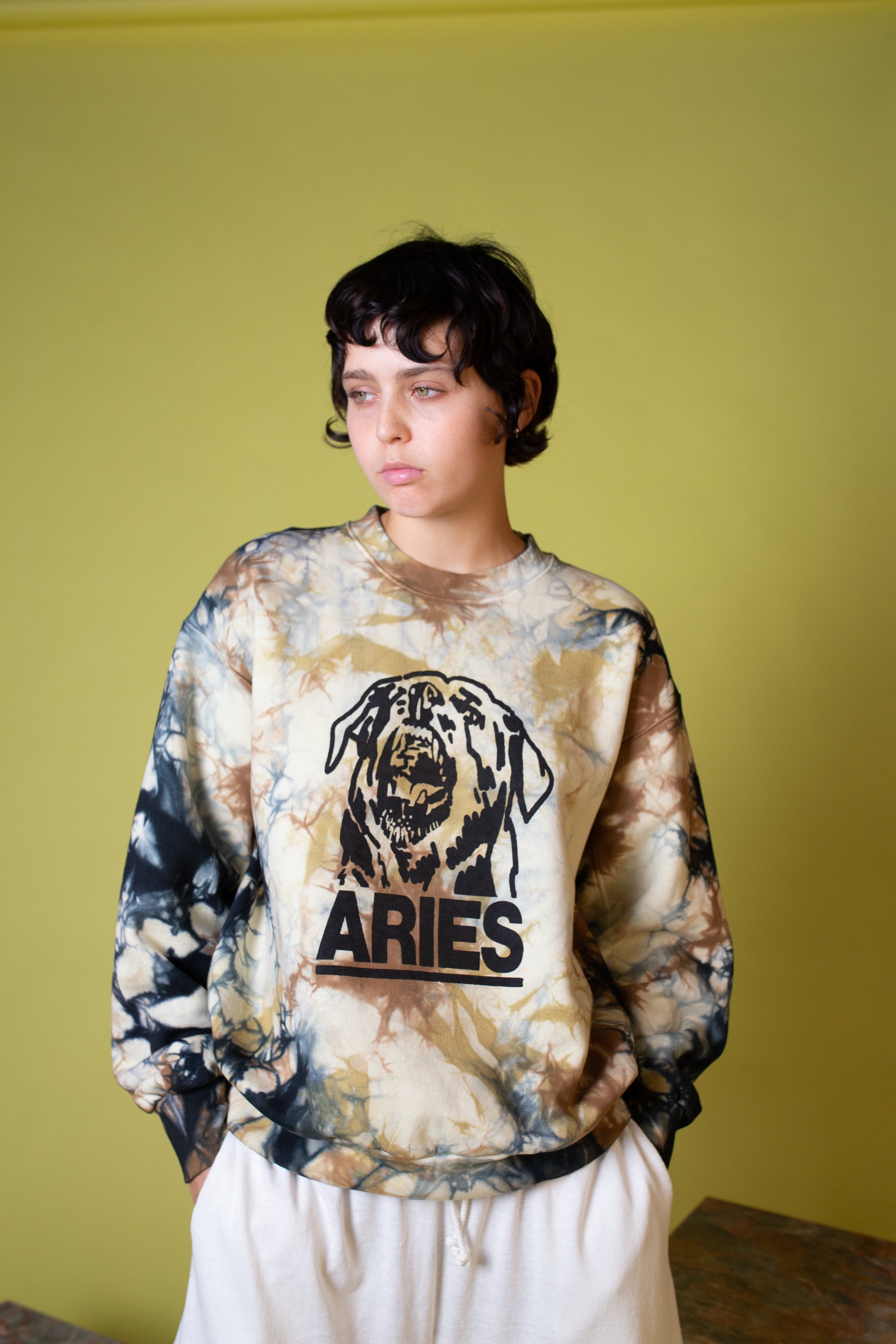 Rottweiler Tie Dye Sweatshirt | Multi