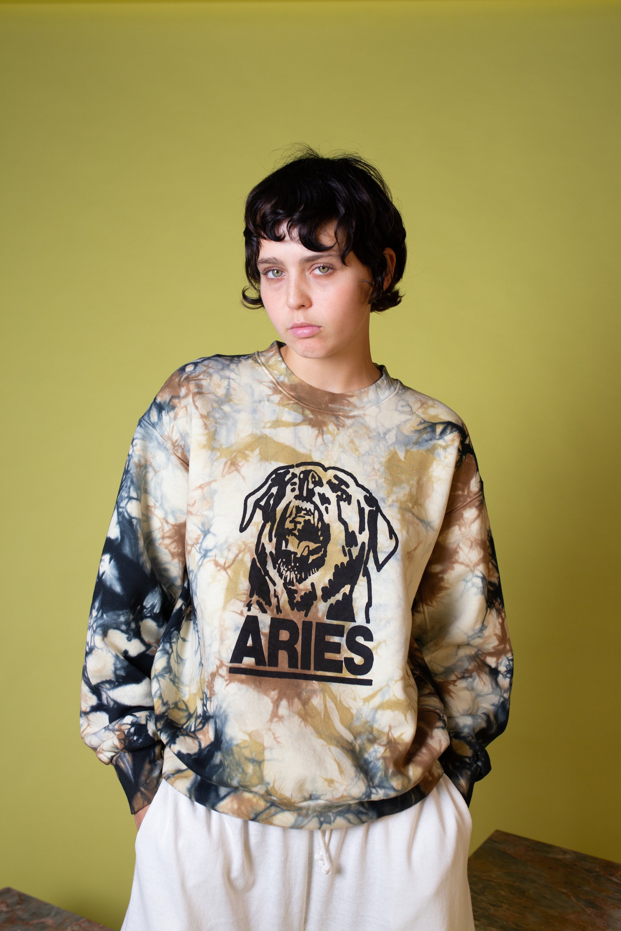 Rottweiler Tie Dye Sweatshirt | Multi